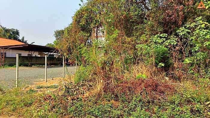 ขายที่ดิน-ใกล้โรงพยาบาลแม่ริม-ตำบลดอนแก้ว-อำเภอแม่ริม-จังหวัดเชียงใหม่