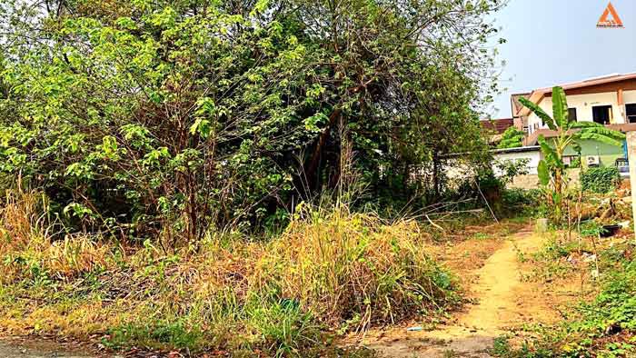 ขายที่ดิน-ใกล้โรงพยาบาลแม่ริม-ตำบลดอนแก้ว-อำเภอแม่ริม-จังหวัดเชียงใหม่