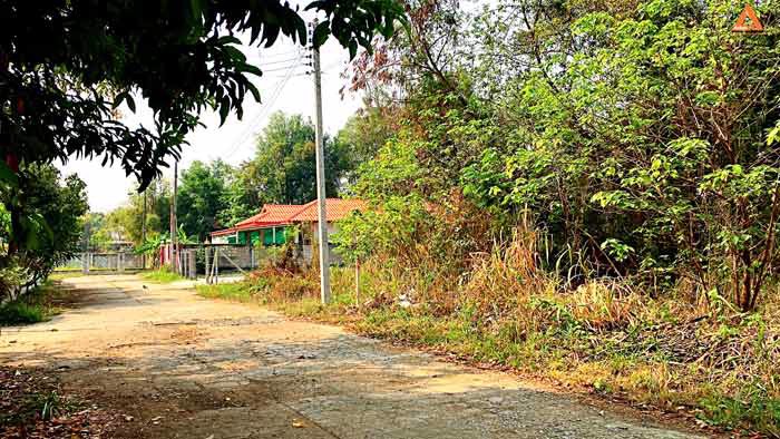 ขายที่ดิน-ใกล้โรงพยาบาลแม่ริม-ตำบลดอนแก้ว-อำเภอแม่ริม-จังหวัดเชียงใหม่