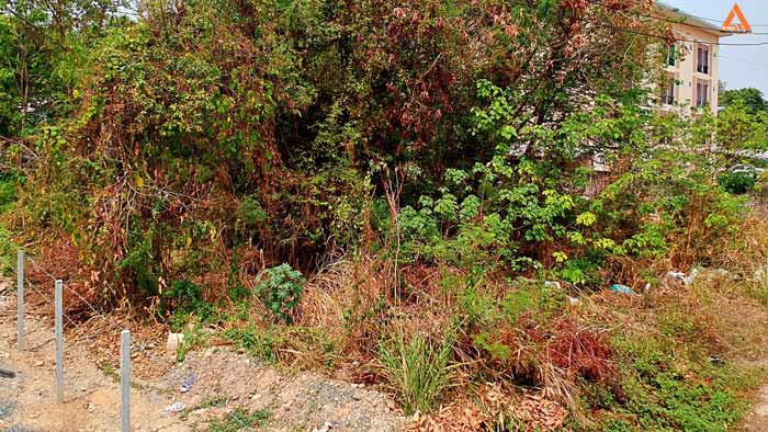 ขายที่ดิน-ใกล้โรงพยาบาลแม่ริม-ตำบลดอนแก้ว-อำเภอแม่ริม-จังหวัดเชียงใหม่