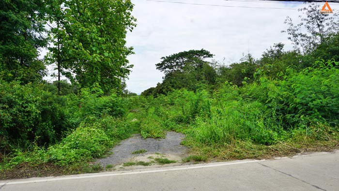 ขายที่ดิน-ไม่ไกลเมือง-ใกล้แยกหลุยส์-ตำบลสันปูเลย-อำเภอดอยสะเก็ด-จังหวัดเชียงใหม่