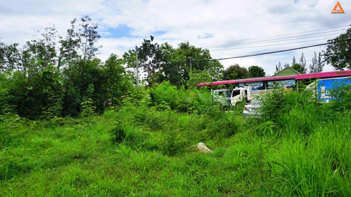 ขายที่ดิน-ไม่ไกลเมือง-ใกล้แยกหลุยส์-ตำบลสันปูเลย-อำเภอดอยสะเก็ด-จังหวัดเชียงใหม่