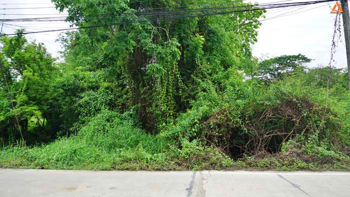 ขายที่ดิน-ไม่ไกลเมือง-ใกล้แยกหลุยส์-ตำบลสันปูเลย-อำเภอดอยสะเก็ด-จังหวัดเชียงใหม่