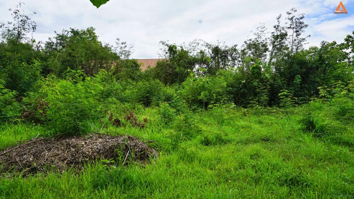 ขายที่ดิน-ไม่ไกลเมือง-ใกล้แยกหลุยส์-ตำบลสันปูเลย-อำเภอดอยสะเก็ด-จังหวัดเชียงใหม่