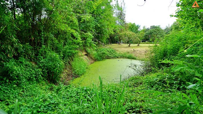 ขายที่ดิน-ไม่ไกลเมือง-ใกล้แยกหลุยส์-ตำบลสันปูเลย-อำเภอดอยสะเก็ด-จังหวัดเชียงใหม่