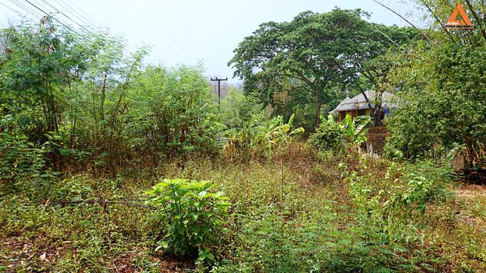 ขายที่ดิน-ติดน้ำ-ติดถนน-โซนแหล่งท่องเที่ยวแม่แรม-ทางไปน้ำตกตาดหมอก