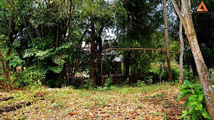 ขายที่ดิน-ติดน้ำ-ติดถนน-โซนแหล่งท่องเที่ยวแม่แรม-ทางไปน้ำตกตาดหมอก