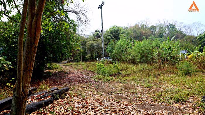 ขายที่ดิน-ติดน้ำ-ติดถนน-โซนแหล่งท่องเที่ยวแม่แรม-ทางไปน้ำตกตาดหมอก