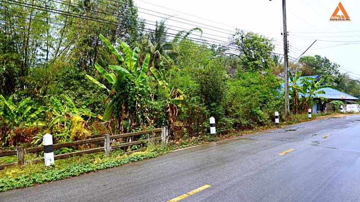 ขายที่ดิน-ติดน้ำ-ติดถนน-โซนแหล่งท่องเที่ยวแม่แรม-ทางไปน้ำตกตาดหมอก