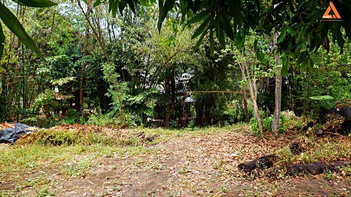 ขายที่ดิน-ติดน้ำ-ติดถนน-โซนแหล่งท่องเที่ยวแม่แรม-ทางไปน้ำตกตาดหมอก