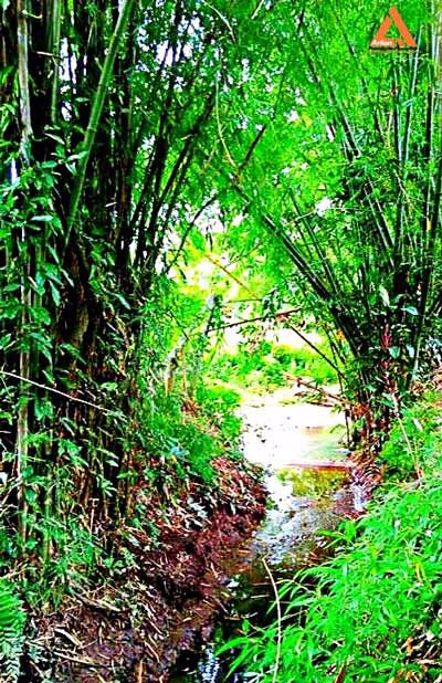 ขายที่ดิน-ติดน้ำ-ติดถนน-โซนแหล่งท่องเที่ยวแม่แรม-ทางไปน้ำตกตาดหมอก