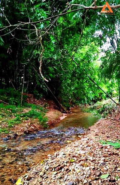 ขายที่ดิน-ติดน้ำ-ติดถนน-โซนแหล่งท่องเที่ยวแม่แรม-ทางไปน้ำตกตาดหมอก