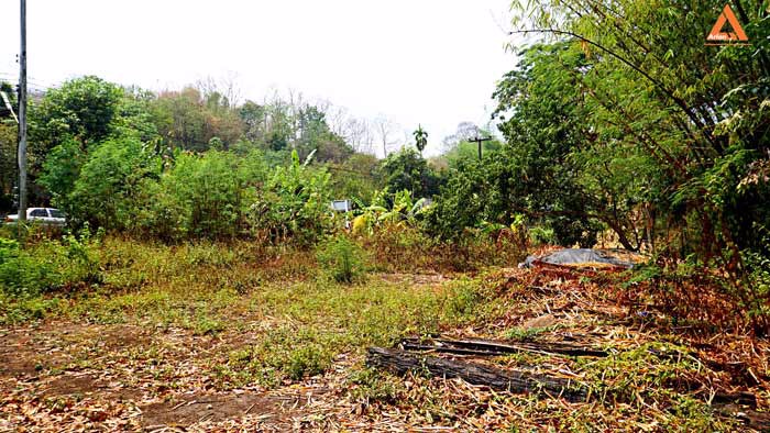 ขายที่ดิน-ติดน้ำ-ติดถนน-โซนแหล่งท่องเที่ยวแม่แรม-ทางไปน้ำตกตาดหมอก