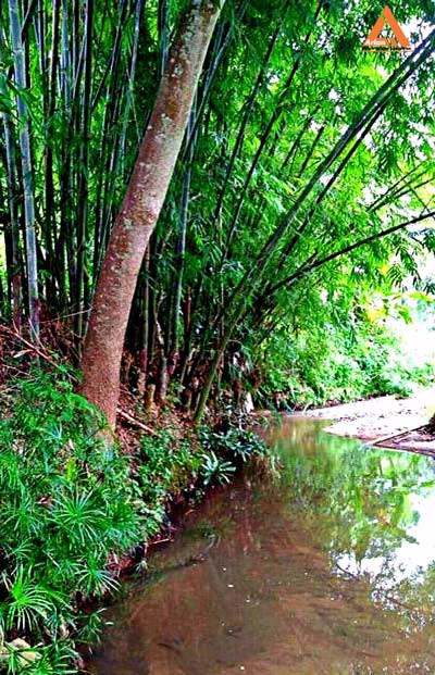 ขายที่ดิน-ติดน้ำ-ติดถนน-โซนแหล่งท่องเที่ยวแม่แรม-ทางไปน้ำตกตาดหมอก