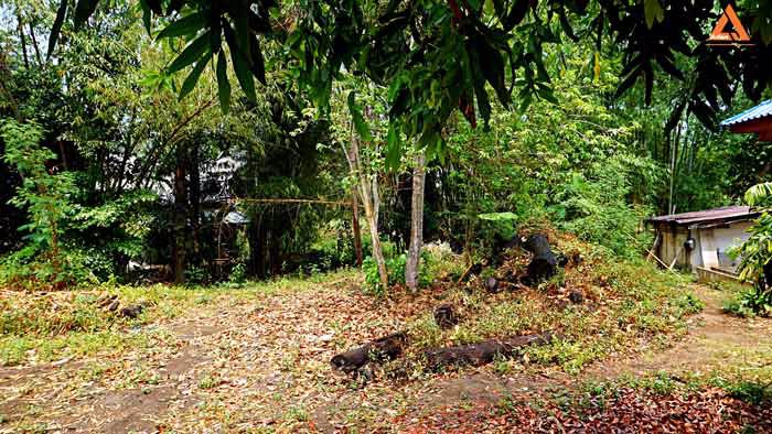 ขายที่ดิน-ติดน้ำ-ติดถนน-โซนแหล่งท่องเที่ยวแม่แรม-ทางไปน้ำตกตาดหมอก