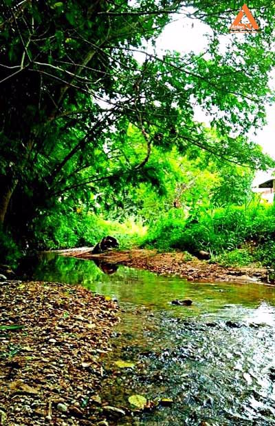 ขายที่ดิน-ติดน้ำ-ติดถนน-โซนแหล่งท่องเที่ยวแม่แรม-ทางไปน้ำตกตาดหมอก