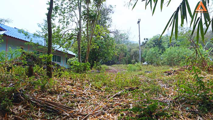 ขายที่ดิน-ติดน้ำ-ติดถนน-โซนแหล่งท่องเที่ยวแม่แรม-ทางไปน้ำตกตาดหมอก