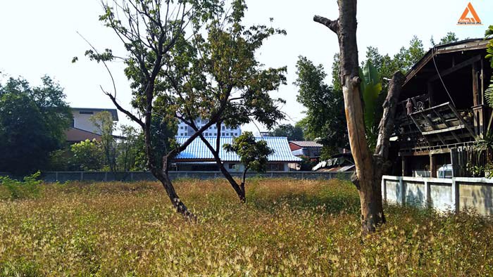 ขายที่ดิน-อำเภอเมืองเชียงใหม่-ใกล้-แจ่งก๊ะต๊ำ-คูเมืองเชียงใหม่-ถนนคนเดินวัวลาย