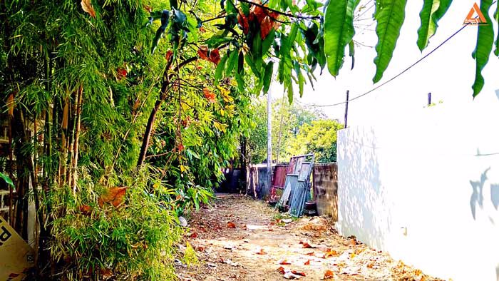 ขายที่ดิน-อำเภอเมืองเชียงใหม่-ใกล้-แจ่งก๊ะต๊ำ-คูเมืองเชียงใหม่-ถนนคนเดินวัวลาย