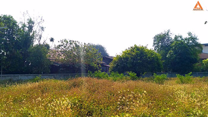 ขายที่ดิน-อำเภอเมืองเชียงใหม่-ใกล้-แจ่งก๊ะต๊ำ-คูเมืองเชียงใหม่-ถนนคนเดินวัวลาย