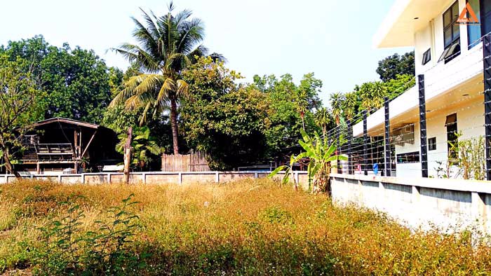 ขายที่ดิน-อำเภอเมืองเชียงใหม่-ใกล้-แจ่งก๊ะต๊ำ-คูเมืองเชียงใหม่-ถนนคนเดินวัวลาย