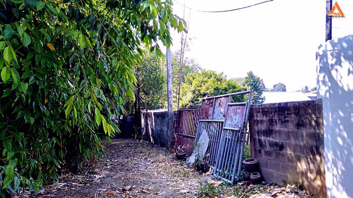 ขายที่ดิน-อำเภอเมืองเชียงใหม่-ใกล้-แจ่งก๊ะต๊ำ-คูเมืองเชียงใหม่-ถนนคนเดินวัวลาย