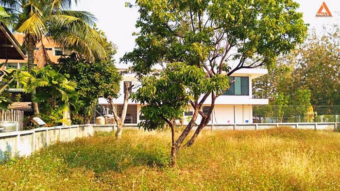 ขายที่ดิน-อำเภอเมืองเชียงใหม่-ใกล้-แจ่งก๊ะต๊ำ-คูเมืองเชียงใหม่-ถนนคนเดินวัวลาย