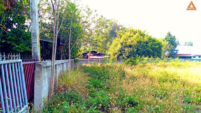 ขายที่ดิน-อำเภอเมืองเชียงใหม่-ใกล้-แจ่งก๊ะต๊ำ-คูเมืองเชียงใหม่-ถนนคนเดินวัวลาย