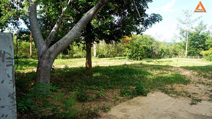 ขายที่ดิน-ริมน้ำปิง-มีที่งอกริมตลิ่ง-ไม่ไกลเมือง-ตำบลสันโป่ง-อำเภอแม่ริม-จังหวัดเชียงใหม่