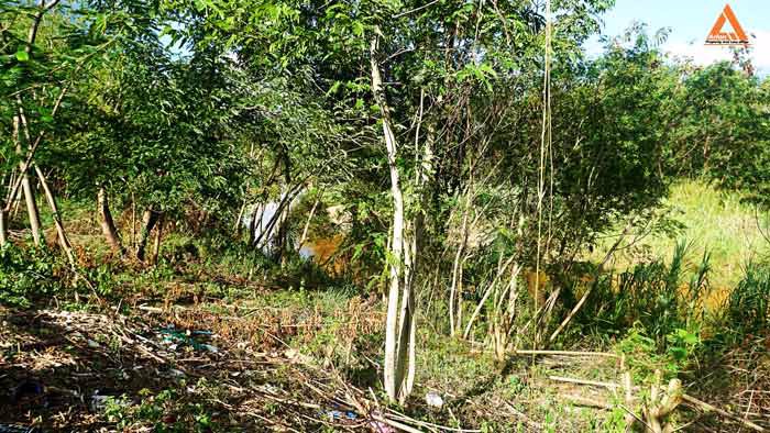 ขายที่ดิน-ริมน้ำปิง-มีที่งอกริมตลิ่ง-ไม่ไกลเมือง-ตำบลสันโป่ง-อำเภอแม่ริม-จังหวัดเชียงใหม่