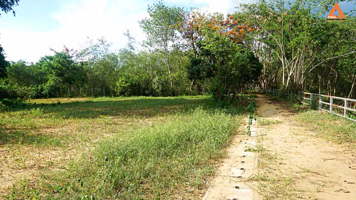 ขายที่ดิน-ริมน้ำปิง-มีที่งอกริมตลิ่ง-ไม่ไกลเมือง-ตำบลสันโป่ง-อำเภอแม่ริม-จังหวัดเชียงใหม่