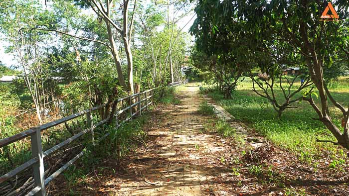 ขายที่ดิน-ริมน้ำปิง-มีที่งอกริมตลิ่ง-ไม่ไกลเมือง-ตำบลสันโป่ง-อำเภอแม่ริม-จังหวัดเชียงใหม่