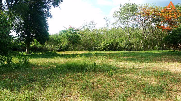 ขายที่ดิน-ริมน้ำปิง-มีที่งอกริมตลิ่ง-ไม่ไกลเมือง-ตำบลสันโป่ง-อำเภอแม่ริม-จังหวัดเชียงใหม่