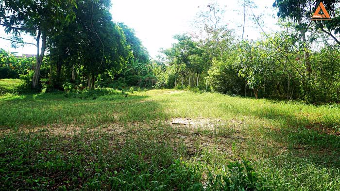 ขายที่ดิน-ริมน้ำปิง-มีที่งอกริมตลิ่ง-ไม่ไกลเมือง-ตำบลสันโป่ง-อำเภอแม่ริม-จังหวัดเชียงใหม่