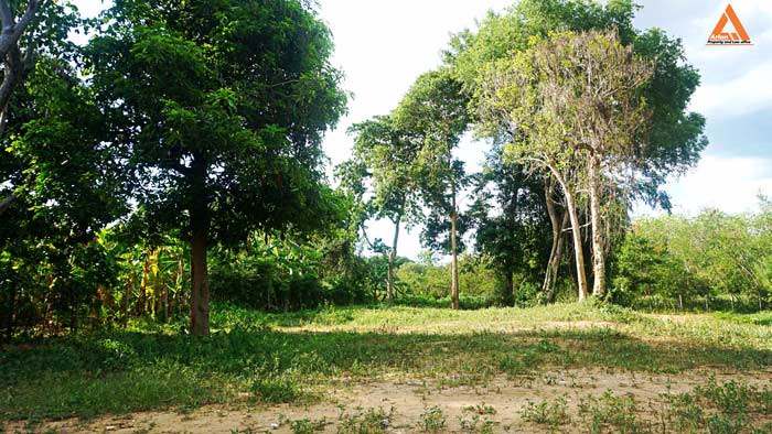 ขายที่ดิน-ริมน้ำปิง-มีที่งอกริมตลิ่ง-ไม่ไกลเมือง-ตำบลสันโป่ง-อำเภอแม่ริม-จังหวัดเชียงใหม่