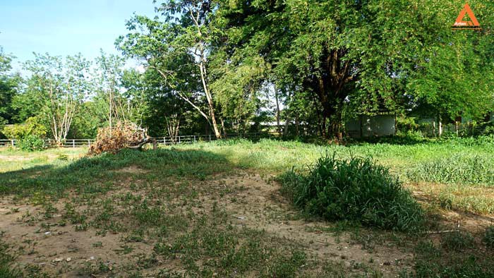 ขายที่ดิน-ริมน้ำปิง-มีที่งอกริมตลิ่ง-ไม่ไกลเมือง-ตำบลสันโป่ง-อำเภอแม่ริม-จังหวัดเชียงใหม่