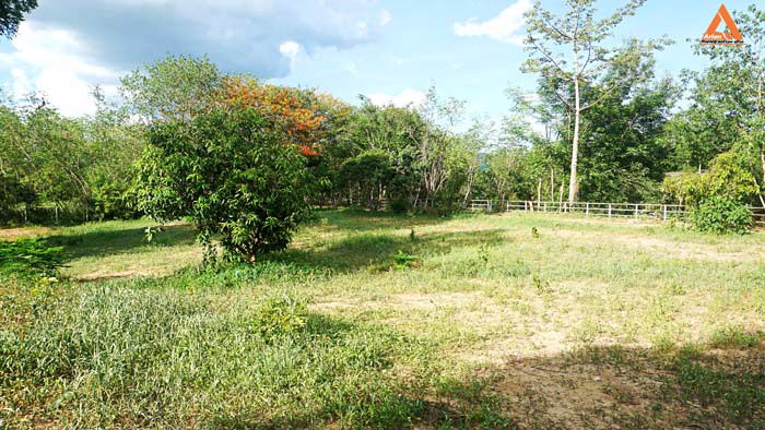 ขายที่ดิน-ริมน้ำปิง-มีที่งอกริมตลิ่ง-ไม่ไกลเมือง-ตำบลสันโป่ง-อำเภอแม่ริม-จังหวัดเชียงใหม่