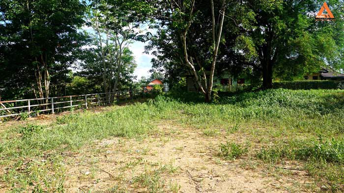 ขายที่ดิน-ริมน้ำปิง-มีที่งอกริมตลิ่ง-ไม่ไกลเมือง-ตำบลสันโป่ง-อำเภอแม่ริม-จังหวัดเชียงใหม่