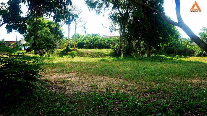 ขายที่ดิน-ริมน้ำปิง-มีที่งอกริมตลิ่ง-ไม่ไกลเมือง-ตำบลสันโป่ง-อำเภอแม่ริม-จังหวัดเชียงใหม่