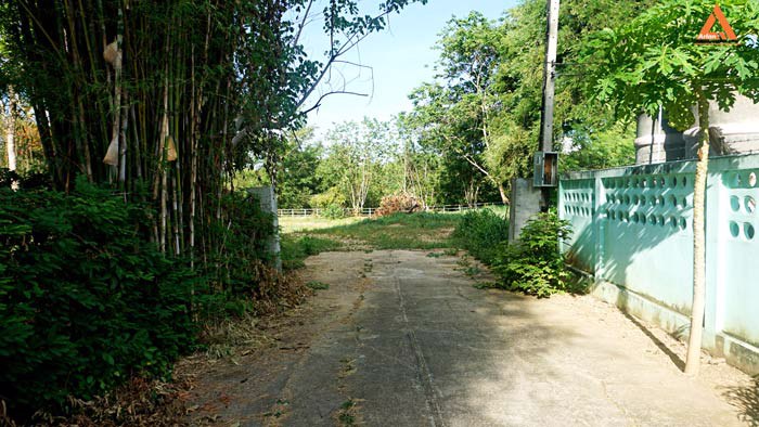 ขายที่ดิน-ริมน้ำปิง-มีที่งอกริมตลิ่ง-ไม่ไกลเมือง-ตำบลสันโป่ง-อำเภอแม่ริม-จังหวัดเชียงใหม่