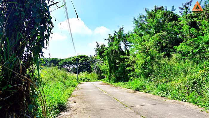 ขายที่ดินย่านชุมชน-โซนร้องเม็ง-สันทราย-ติดถนน-3-ด้าน-วางผัง-แบ่งแปลงได้ง่าย