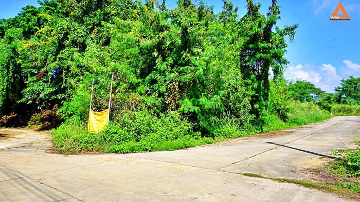 ขายที่ดินย่านชุมชน-โซนร้องเม็ง-สันทราย-ติดถนน-3-ด้าน-วางผัง-แบ่งแปลงได้ง่าย