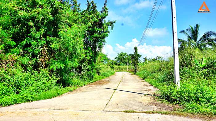 ขายที่ดินย่านชุมชน-โซนร้องเม็ง-สันทราย-ติดถนน-3-ด้าน-วางผัง-แบ่งแปลงได้ง่าย