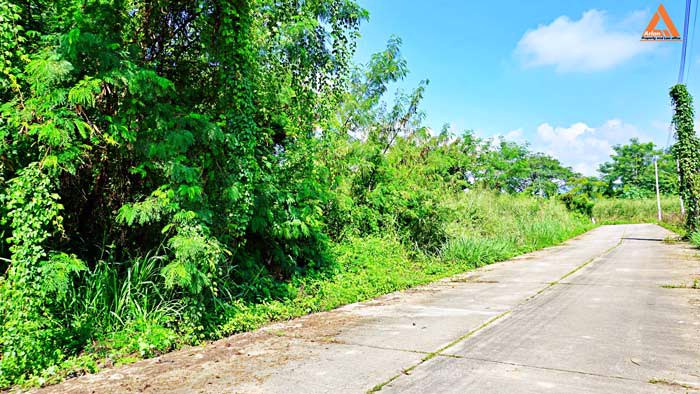 ขายที่ดินย่านชุมชน-โซนร้องเม็ง-สันทราย-ติดถนน-3-ด้าน-วางผัง-แบ่งแปลงได้ง่าย