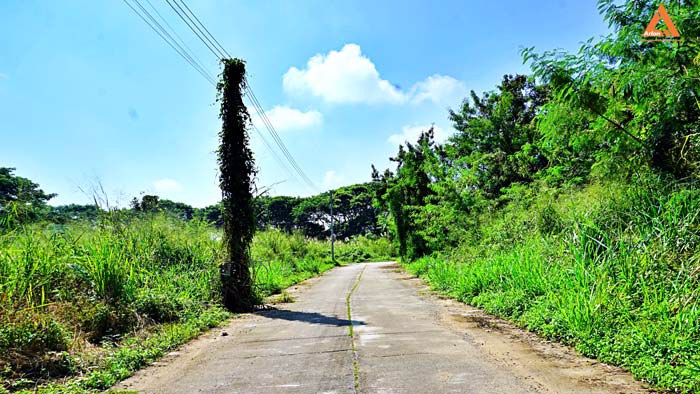 ขายที่ดินย่านชุมชน-โซนร้องเม็ง-สันทราย-ติดถนน-3-ด้าน-วางผัง-แบ่งแปลงได้ง่าย