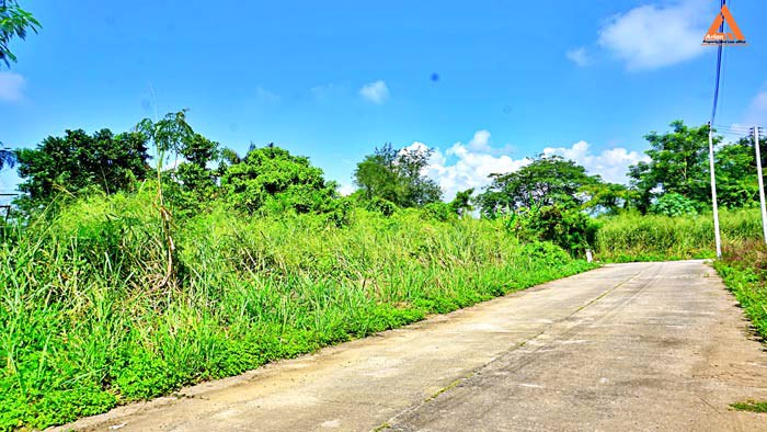 ขายที่ดินย่านชุมชน-โซนร้องเม็ง-สันทราย-ติดถนน-3-ด้าน-วางผัง-แบ่งแปลงได้ง่าย