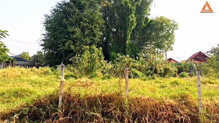 ขายที่ดินแปลงมุม-ติดถนน-2-ด้าน-โซนแม่เหียะ-อำเภอเมืองเชียงใหม่-แวดล้อมด้วยสาธารณูปโภคครบครัน