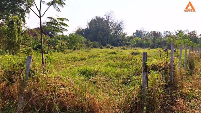 ขายที่ดินแปลงมุม-ติดถนน-2-ด้าน-โซนแม่เหียะ-อำเภอเมืองเชียงใหม่-แวดล้อมด้วยสาธารณูปโภคครบครัน