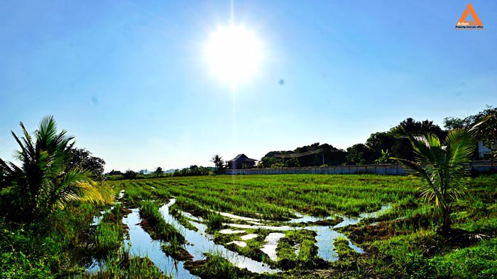 ขายที่ดิน-ติดถนน-ชม4015-ใกล้ถนนสันกำแพงสายใหม่-ไม่ไกลจากโครงการสนามบินใหม่