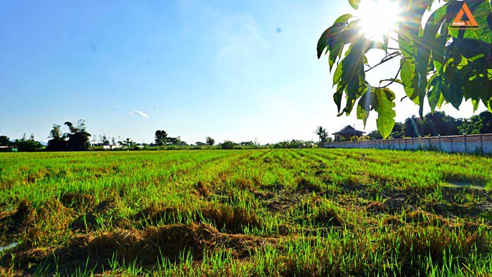 ขายที่ดิน-ติดถนน-ชม4015-ใกล้ถนนสันกำแพงสายใหม่-ไม่ไกลจากโครงการสนามบินใหม่